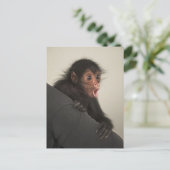 Roter Spinne Ateles paniscus) Postkarte (Stehend Vorderseite)