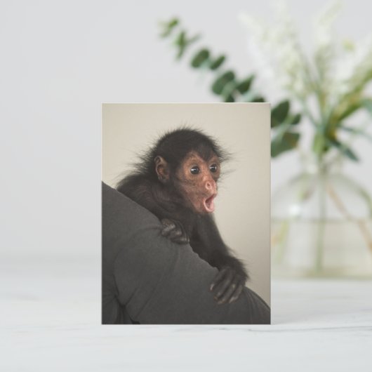 Roter Spinne Ateles paniscus) Postkarte (Stehend Vorderseite)