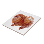 Roter Spitz Fliese (Seite)