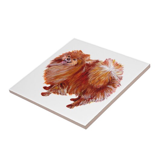 Roter Spitz Fliese (Seite)