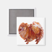 Roter Spitz Magnet (Vorderseite/Rückseite)