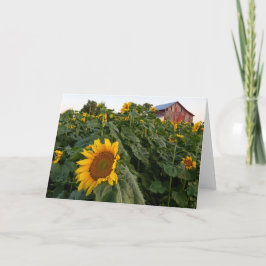 Roter Stall-Blankenkarte für Sonnenblumen Dankeskarte