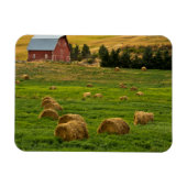 Roter Stall, Heu-Ballen, Albion, Palouse-Gebiet 2 Magnet (Horizontal)