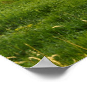 Roter Stall, Heu-Ballen, Albion, Palouse-Gebiet 2 Poster (Ecke)