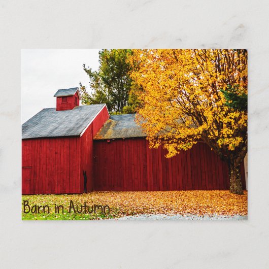 Roter Stall im Herbst Postkarte (Vorderseite)