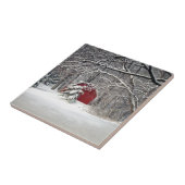 Roter Stall im Schnee 2011 Fliese (Seite)