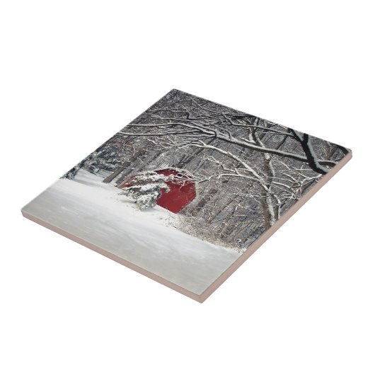 Roter Stall im Schnee 2011 Fliese (Seite)