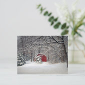 Roter Stall im Schnee 2011 Postkarte (Stehend Vorderseite)