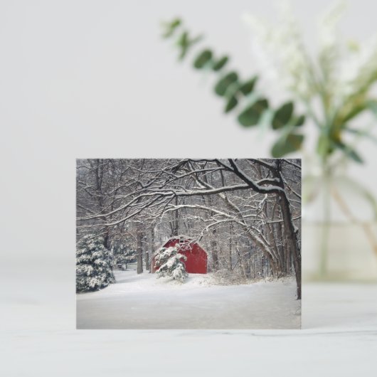 Roter Stall im Schnee 2011 Postkarte (Stehend Vorderseite)