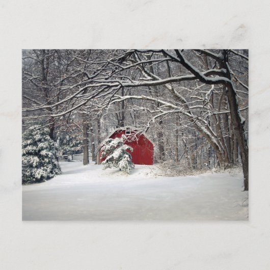 Roter Stall im Schnee 2011 Postkarte (Vorderseite)