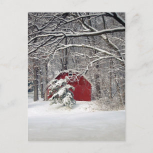 Roter Stall im Schnee 2011 Postkarte