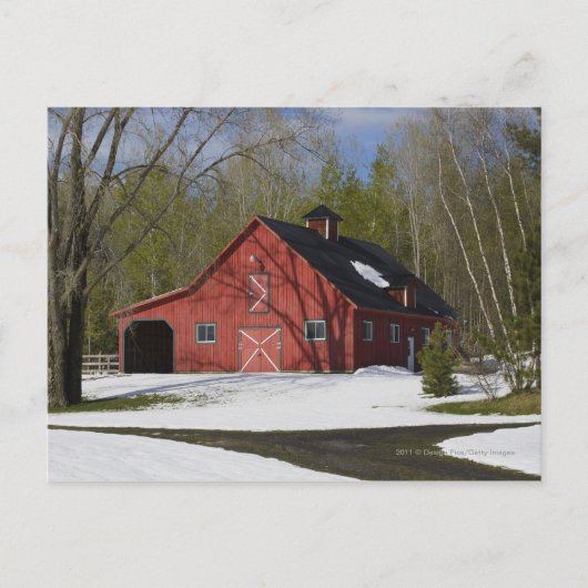 Roter Stall im Winter Postkarte (Vorderseite)