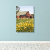 Roter Stall mit gelben Wildblumen Leinwanddruck (Insitu (Holzboden))