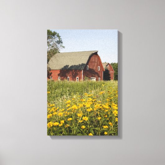 Roter Stall mit gelben Wildblumen Leinwanddruck (Vorderseite)