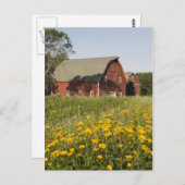 Roter Stall mit gelben Wildblumen Postkarte (Vorne/Hinten)