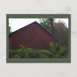 Roter Stall mit ivy Postcard Postkarte