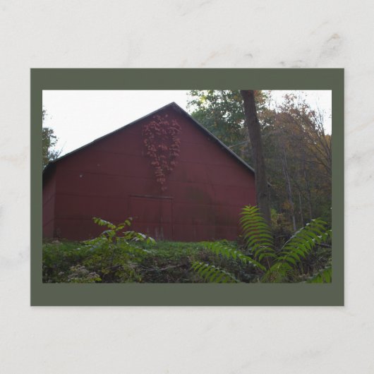 Roter Stall mit ivy Postcard Postkarte (Vorderseite)