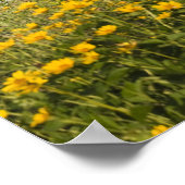 Roter Stall und Gelbe Wildblumen Poster (Ecke)