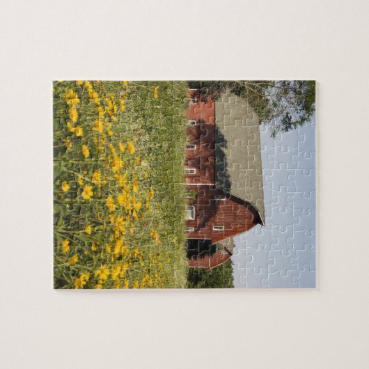 Roter Stall und Gelbe Wildblumen Puzzle (Horizontal)