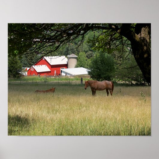 Roter Stall und Pferde Poster (Vorne)