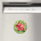 Roter Stern Blüte Grünes Laub Magnet (In Situ (Geschirrspüler))
