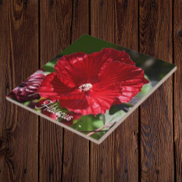 Roter Sumpf Hibiskus Blütenblume Fliese