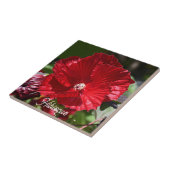Roter Sumpf Hibiskus Blütenblume Fliese (Seite)
