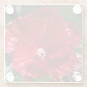 Roter Sumpf Hibiskus Blütenblume Glasuntersetzer (Rückseite)