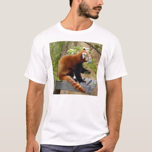 Roter T - Shirt Panda-037 (Vorderseite)