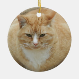 Roter Tabby Keramikornament