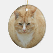 Roter Tabby Keramikornament (Links)