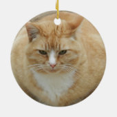 Roter Tabby Keramikornament (Hinten)