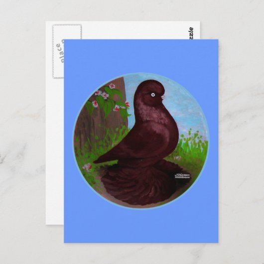 Roter Taubenzirkel Postkarte (Vorne/Hinten)