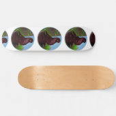 Roter Taubenzirkel Skateboard (Horizontal)