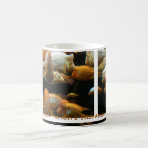 Roter Teufel Cichliden Tasse