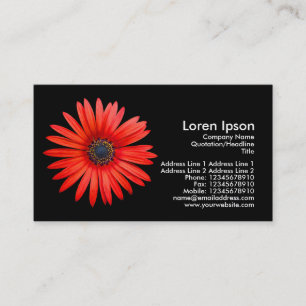 Roter Teufel - Schwarzes Visitenkarte