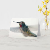 Roter Throter Hummingvogel Karte (Gelbe Blume)