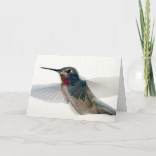 Roter Throter Hummingvogel Karte (Vorderseite)