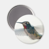 Roter Throter Hummingvogel Magnet (Vorderseite/Rückseite)
