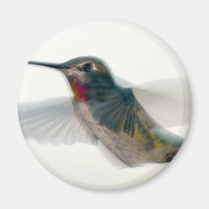 Roter Throter Hummingvogel Magnet