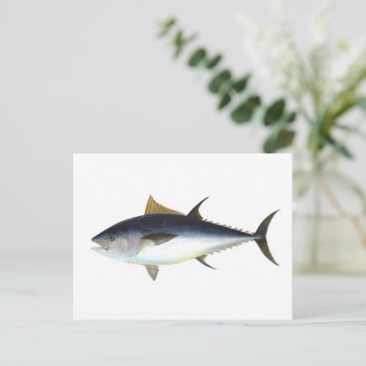 Roter Thun Postkarte (Stehend Vorderseite)