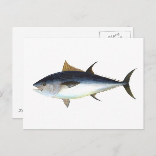 Roter Thun Postkarte (Vorne/Hinten)