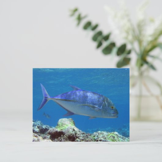 Roter Thun Trevally Postkarte (Stehend Vorderseite)