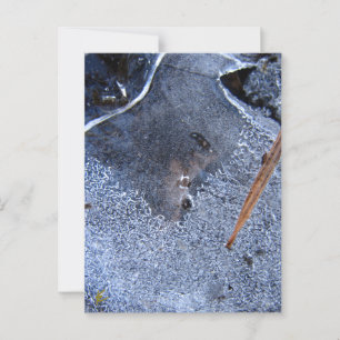 Roter Totem, Schwarzer Vogelkorb Postkarte