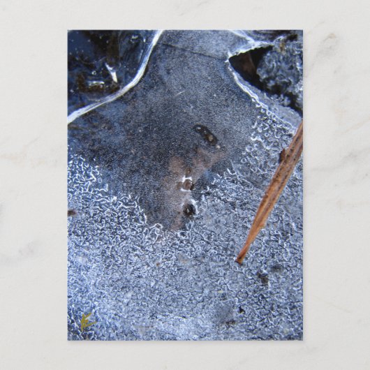 Roter Totem, Schwarzer Vogelkorb Postkarte (Vorderseite)