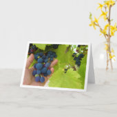 Roter Traubenkern in Hand Karte (Gelbe Blume)