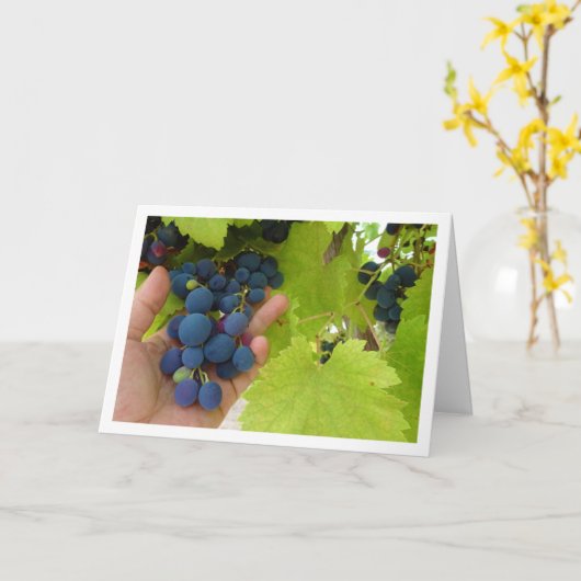 Roter Traubenkern in Hand Karte (Gelbe Blume)