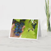 Roter Traubenkern in Hand Karte (Vorderseite)