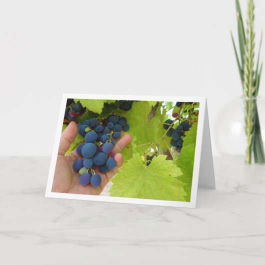 Roter Traubenkern in Hand Karte (Vorderseite)