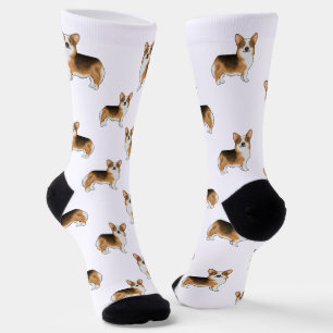 Roter Tricolor Pembroke Welsh Corgi Süßer Hunde Mu Socken